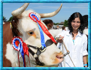 Events / Shows Holidays from Huttons Special Interest Tours.