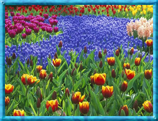 Future Holidays from Huttons Special Interest Tours.