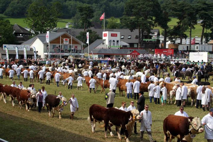 royal welsh show